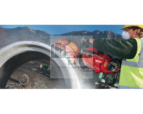 DSH 900-X Бензорез