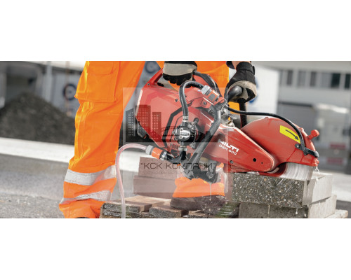 DSH 600-X Бензорез