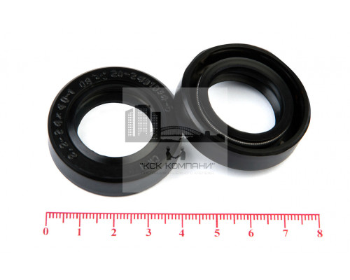 Сальник (манжета армированная) 2.2-24х40х10 (20-2401034-Б) ГОСТ 8752-79