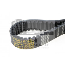 Ремень вариаторный зубчатый W31.5-900 Lp (1-В32-900)