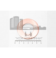 Шайба медная 27*52*1.5