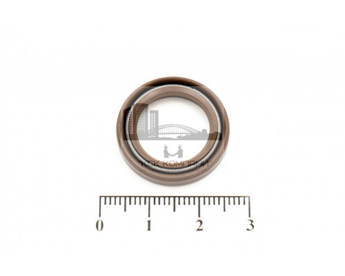 Сальник (манжета армир.) фторкаучук TC 16х22х4 FKM75