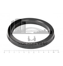 Манжета 80х100  h=10  ТУ 38-1051725-86