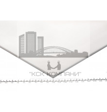 Пластина силиконовая 5х500х500 мм