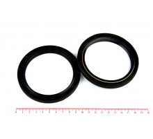 Сальник (манжета армированная) 2.2-80х100х10 (406.1005160 прав.) ГОСТ 8752-79