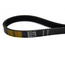 Ремень вариаторный зубчатый W25-800 Lp (1-В25-800)