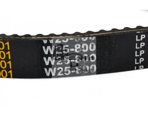 Ремень вариаторный зубчатый W25-800 Lp (1-В25-800)