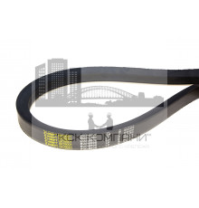 Ремень клиновой Е(Д)-8000 Lp / 7905 Li ГОСТ 1284-89