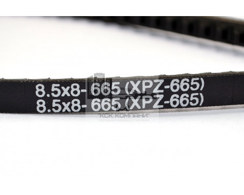 Ремень клиновой XPZ-665 Lp (8,5*8-665) зуб.