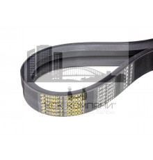 Ремень многоручьевой 2НВ-2462 La / 2450 Lp HIMPT