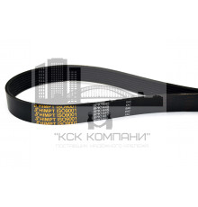 Ремень поликлиновой 8PK-1445