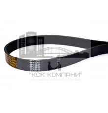 Ремень поликлиновой 8РК-1250