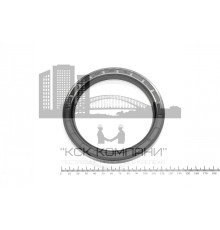 Сальник (манжета армированная) TC 100х125х13 NBR70
