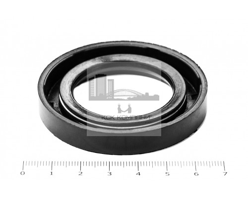 Сальник (манжета армированная) 1.2-38х62х10 ГОСТ 8752-79