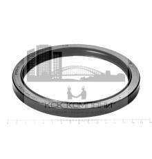 Сальник (манжета армированная) 2.2-130х154х12/13.5 (307272-П) ГОСТ 8752-79