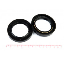 Сальник (манжета армированная) 2.2-48х72х10 ГОСТ 8752-79