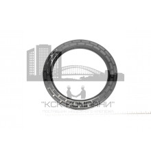 Сальник (манжета армированная) TC 130х170х12 NBR70