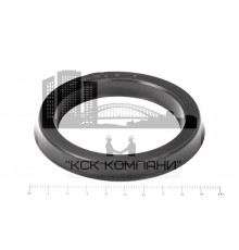 Манжета 70х90  h=10  ТУ 38-1051725-86