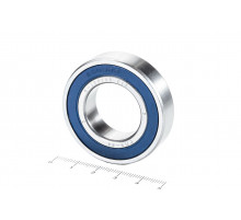 Подшипник 6005 2RS (6-180105 С17) 25*47*12мм ГПЗ/СПЗ-4