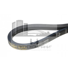 Ремень клиновой В(Б)-2800 Lp / 2755 Li ГОСТ 1284-89