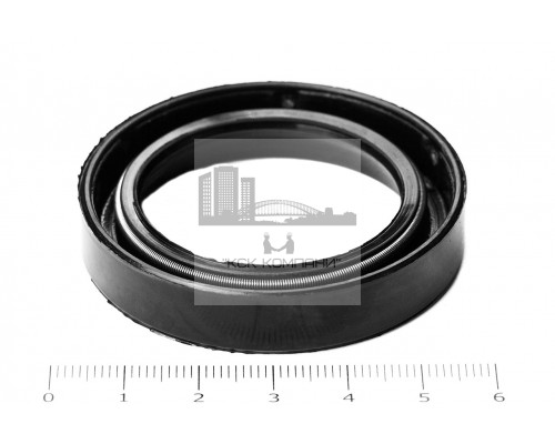 Сальник (манжета армированная) 1.2-38х54х10 (307263-П) ГОСТ 8752-79