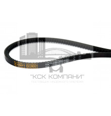 Ремень клиновой XPA-1180 Lp (11*10-1180) зуб.