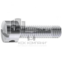 Винт пломбировочный DIN 404 A1 с радиальными отверстиями и прямым шлицем, M4x20 мм