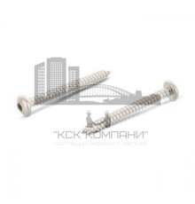 Винт самонарезающий DIN 7981 A2 полукруглый шлиц квадрат SQ, 4.8x9.5 мм