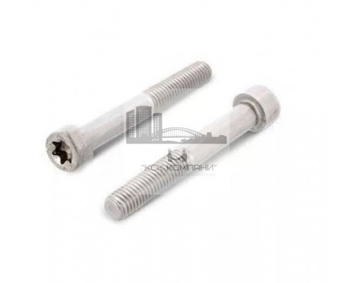 Винт с цилиндрической головкой ISO 14579 A2 неполная резьба шлиц TX, M10x55 мм
