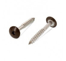 Art. 9086 A2 4,8X25 TX20 - RAL 8014 Саморез с расширенной низкой полукруглой головкой, неполная резьба, звездообразный шлиц TX