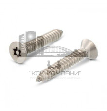 Art. 9122 A2 C 4,2X38 TX-PIN 20 Винт антивандальный самонарезающий острый, с потайной головкой, шлиц TORX-PIN (TX со штифтом)