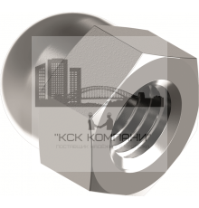 Гайка колпачковая DIN 1587 А2 высокая, M22