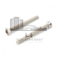 Винт с полупотайной головкой DIN 966 A4 и полной резьбой шлиц Torx, M2.5x30 мм
