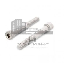 Винт с цилиндрической головкой ISO 14579 A2 неполная резьба шлиц TX, M10x60 мм