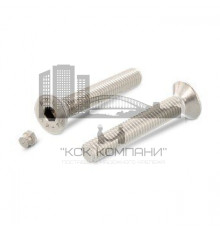 Art. 9141 A2 M10X20 с заглушкой Винт с потайной головкой и внутренним шестигранником + антивандальная заглушка