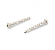 Винт самонарезающий остроконечный ISO 14585 A2 с полукруглой головкой шлиц Torx, 3.9х16 мм