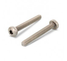 Винт с полукруглой головкой ISO 14583 (DIN 7985) A4 полной резьбой шлиц Torx, M2.5x4 мм