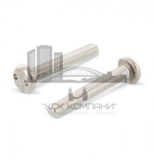 Art. 9100 A2 C 6,3X16 SP1/4 Винт антивандальный самонарезающий с цилиндрической скруглённой головкой, шлиц Spanner (Snake-Eye)