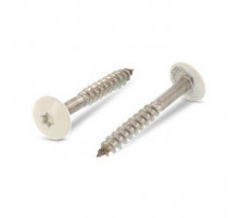 Art. 9086 A2 4,8X25 TX20 - RAL 1013 Саморез с расширенной низкой полукруглой головкой, неполная резьба, звездообразный шлиц TX