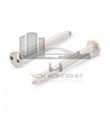 Art. 9100 A2 C 2,9X9,5 SP4 Винт антивандальный самонарезающий с цилиндрической скруглённой головкой, шлиц Spanner (Snake-Eye)