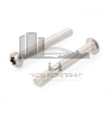 Винт с полукруглой головкой ISO 7380-1 A4 полной резьбой шлиц Torx, М8х45 мм