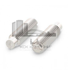 Винт установочный DIN 417 A2 с прямым шлицем и цилиндрическим концом, M4x4 мм