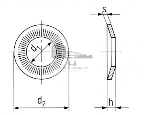 Шайба контактная рифленая SKN с насечкой и зубцами ОЦ, D14.6x24x1.6