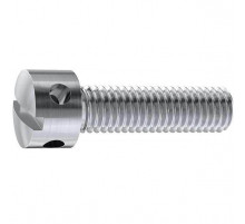 Винт пломбировочный DIN 404 A1 с радиальными отверстиями и прямым шлицем, M6x10 мм