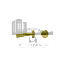 Винт 3,0 х 5 полуцил.DIN 7985 (латунь)